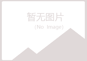 阳山县无果银行有限公司